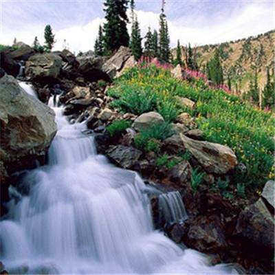 ag亚游APP登陆手机app下载